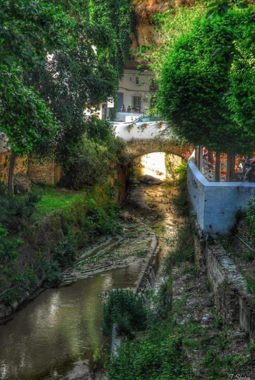 Casa Cueva Un Rincon En La Roca Villa Setenil De Las Bodegas Eksteriør bilde